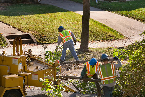 Best Mulching Services  in Goleta, CA